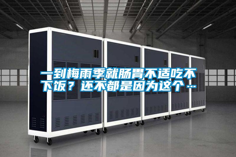 一到梅雨季就腸胃不適吃不下飯？還不都是因為這個…