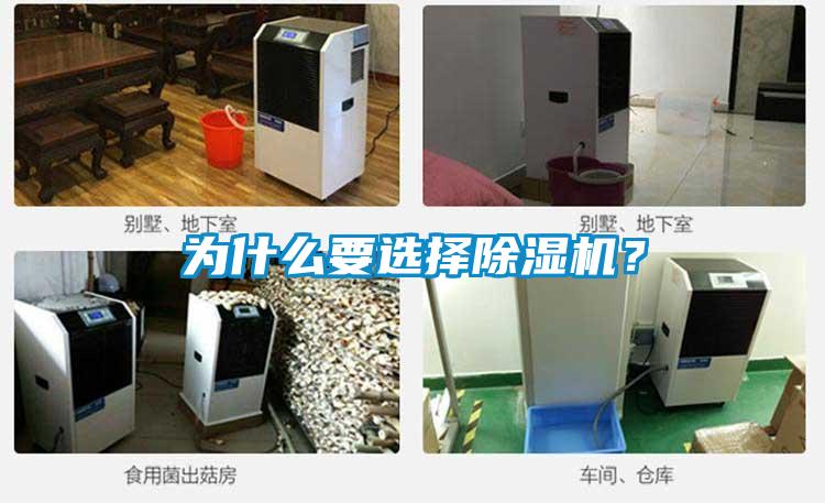 為什么要選擇除濕機？