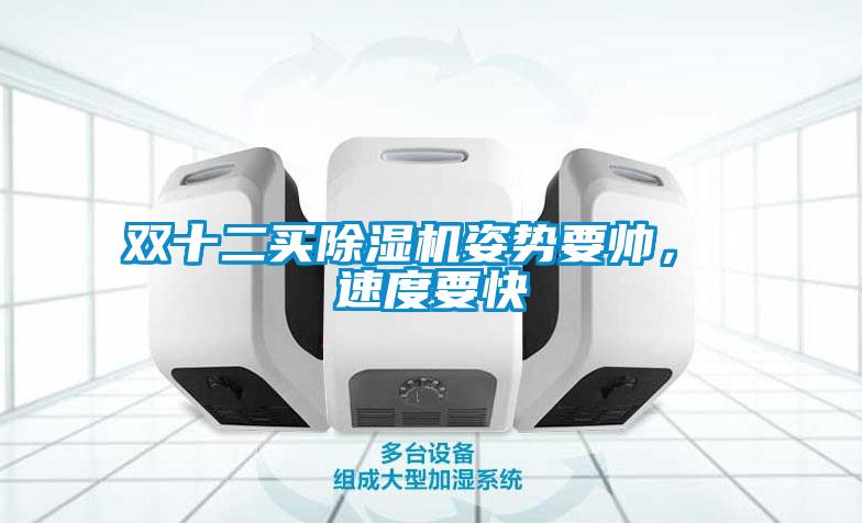 雙十二買除濕機(jī)姿勢要帥， 速度要快