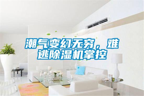 潮氣變幻無窮，難逃除濕機掌控