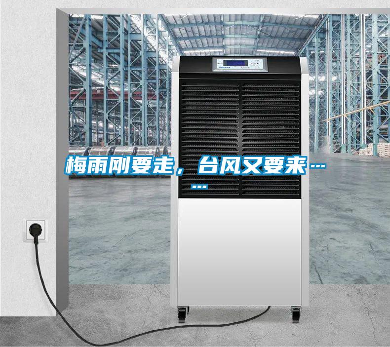 梅雨剛要走，臺(tái)風(fēng)又要來(lái)……