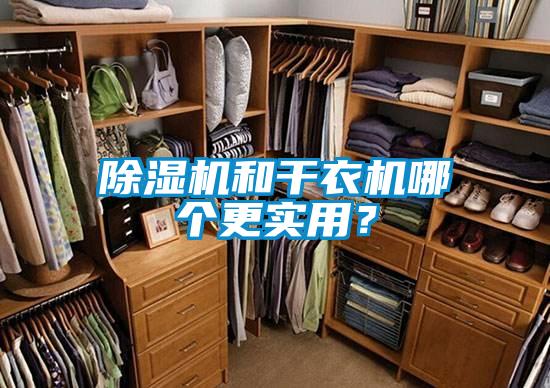 除濕機(jī)和干衣機(jī)哪個(gè)更實(shí)用？