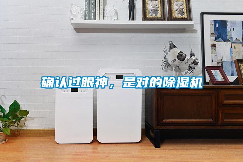 確認(rèn)過(guò)眼神，是對(duì)的除濕機(jī)