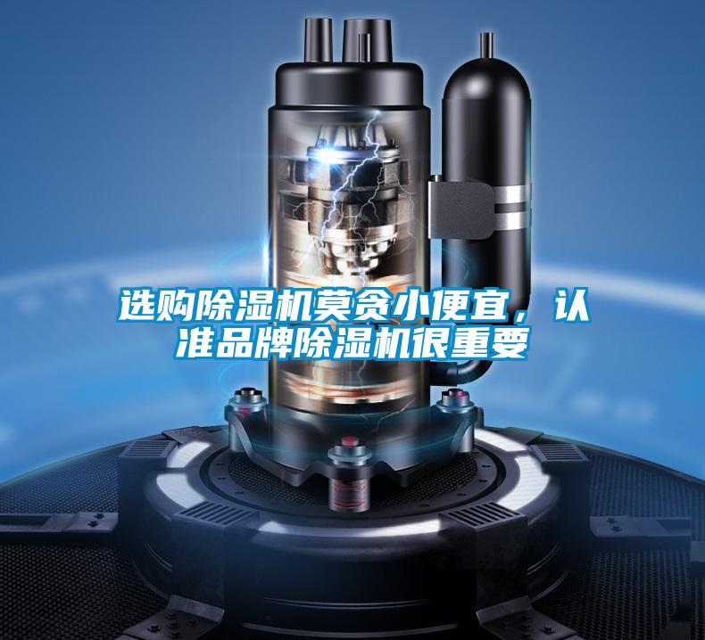 選購除濕機(jī)莫貪小便宜，認(rèn)準(zhǔn)品牌除濕機(jī)很重要