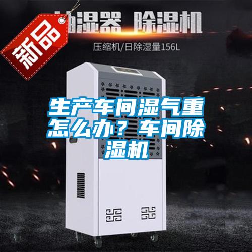 生產車間濕氣重怎么辦？車間除濕機