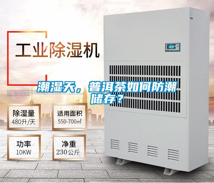 潮濕天，普洱茶如何防潮儲(chǔ)存？