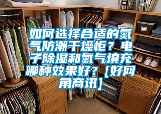 如何選擇合適的氮氣防潮干燥柜？電子除濕和氮氣填充哪種效果好？[好網角商訊]