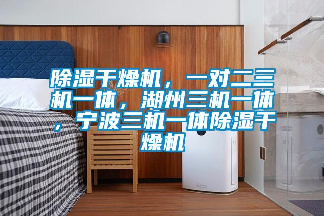 除濕干燥機(jī)，一對二三機(jī)一體，湖州三機(jī)一體，寧波三機(jī)一體除濕干燥機(jī)