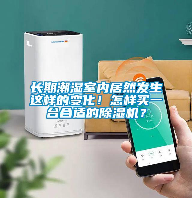 長期潮濕室內(nèi)居然發(fā)生這樣的變化！怎樣買一臺合適的除濕機(jī)？