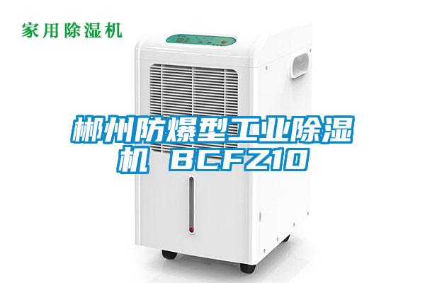 郴州防爆型工業(yè)除濕機 BCFZ10