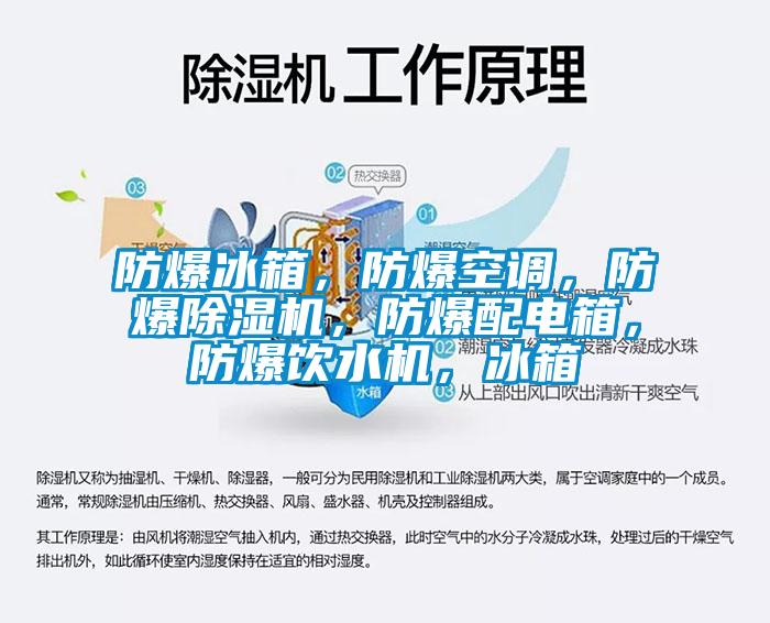 防爆冰箱，防爆空調(diào)，防爆除濕機(jī)，防爆配電箱，防爆飲水機(jī)，冰箱