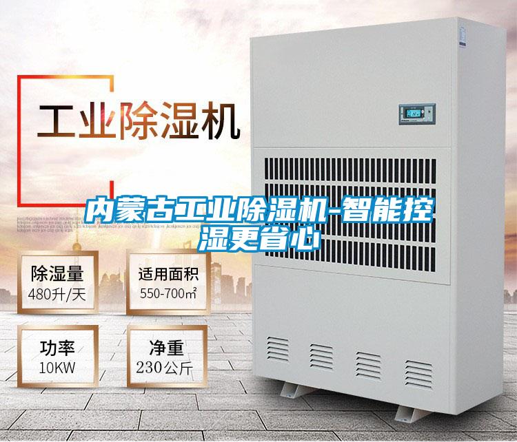 內(nèi)蒙古工業(yè)除濕機-智能控濕更省心
