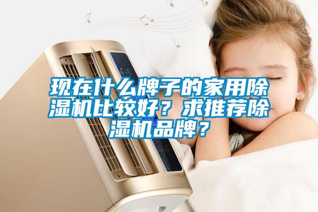 現在什么牌子的家用除濕機比較好？求推薦除濕機品牌？