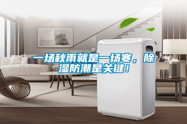 一場秋雨就是一場寒，除濕防潮是關鍵！