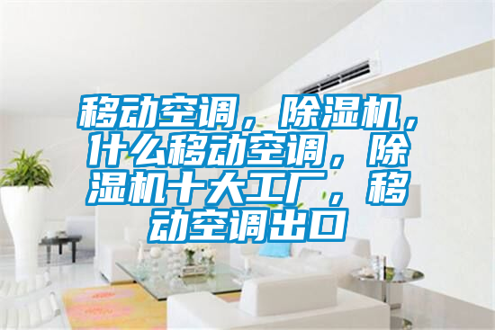 移動空調，除濕機，什么移動空調，除濕機十大工廠，移動空調出口
