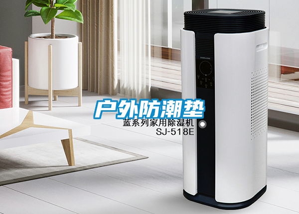 戶(hù)外防潮墊