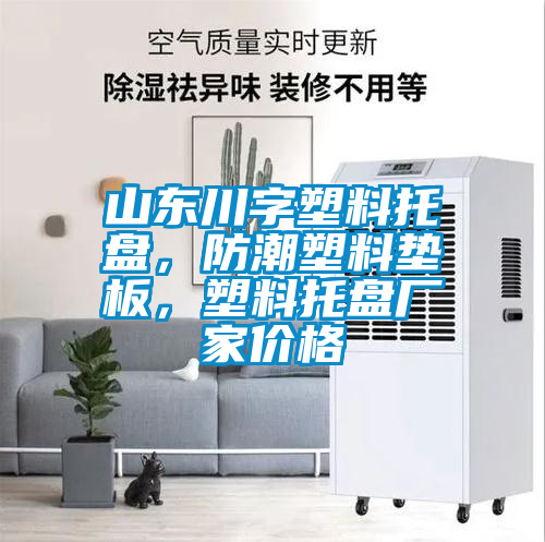 山東川字塑料托盤，防潮塑料墊板，塑料托盤廠家價(jià)格