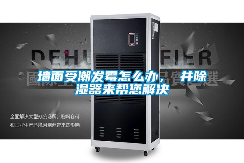 墻面受潮發霉怎么辦，東井除濕器來幫您解決