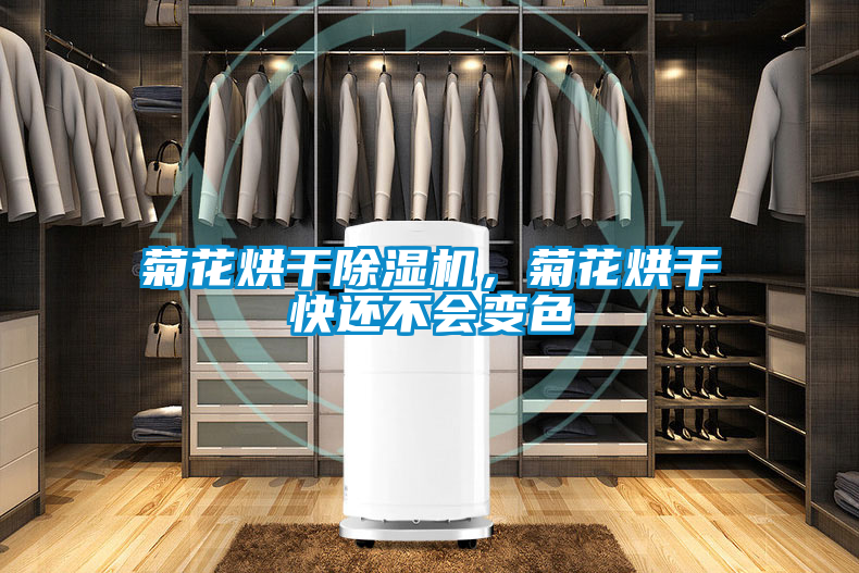 菊花烘干除濕機，菊花烘干快還不會變色