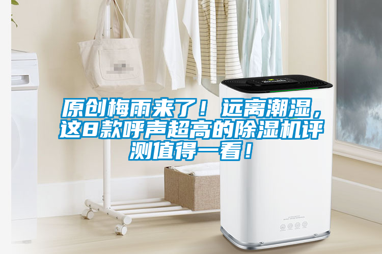 原創(chuàng)梅雨來了！遠(yuǎn)離潮濕，這8款呼聲超高的除濕機評測值得一看！