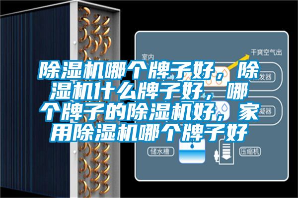 除濕機(jī)哪個牌子好，除濕機(jī)什么牌子好，哪個牌子的除濕機(jī)好，家用除濕機(jī)哪個牌子好