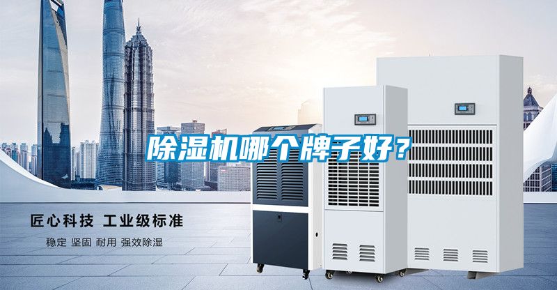 除濕機(jī)哪個(gè)牌子好？