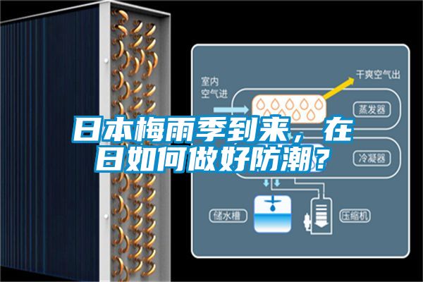 日本梅雨季到來(lái)，在日如何做好防潮？