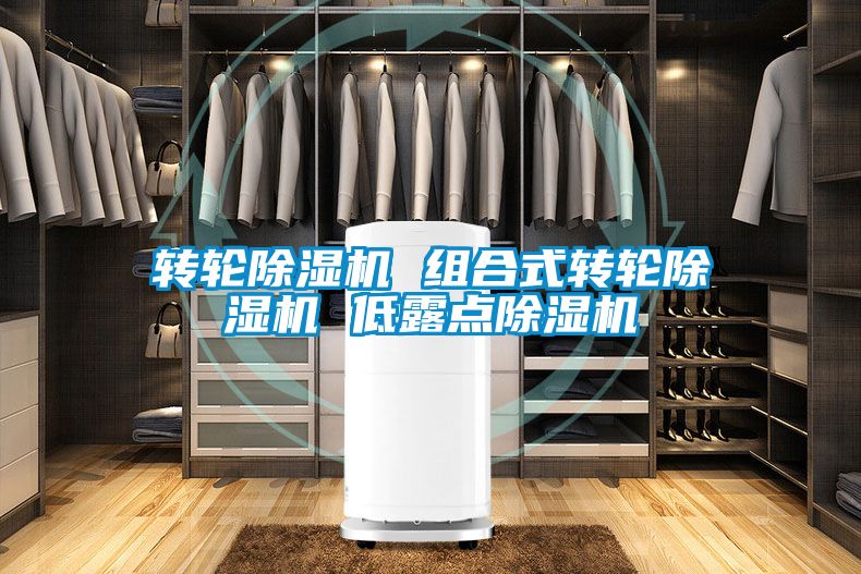 轉(zhuǎn)輪除濕機(jī) 組合式轉(zhuǎn)輪除濕機(jī) 低露點(diǎn)除濕機(jī)