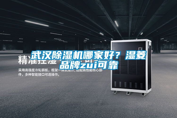 武漢除濕機(jī)哪家好？濕菱品牌zui可靠