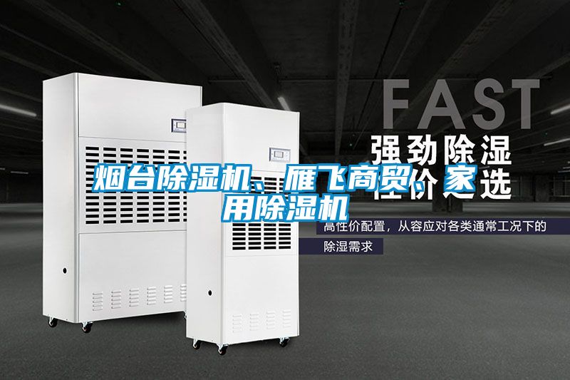 煙臺除濕機、雁飛商貿、家用除濕機