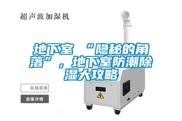地下室≠“隱秘的角落”，地下室防潮除濕大攻略